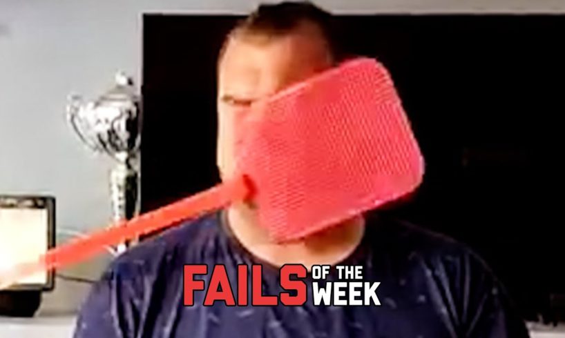 Swatted! Fails of the Week | FailArmy