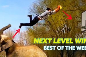 The Most EPIC Trick Shots & More 😎🔥 | Best Of The Week