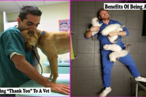 The Time Vets Met The Cutest Pets At Work And We Are Grateful To Veterinarians