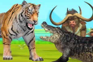 Tiger Attack Buffalos Crocodile Fight Wild animal Fights Videos Giant Buffalo Wild Crocodile Tiger