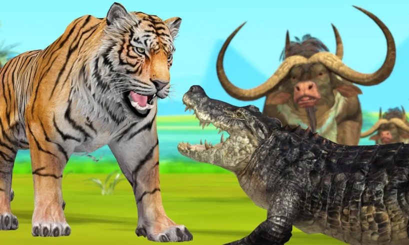 Tiger Attack Buffalos Crocodile Fight Wild animal Fights Videos Giant Buffalo Wild Crocodile Tiger