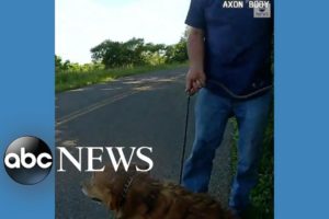 Trooper rescues dog from drainage pipe