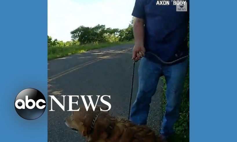 Trooper rescues dog from drainage pipe