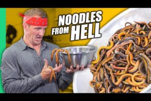 Vietnam’s TERRIFYING Bowl of Noodles!! Hanoi Noodle Tour!!