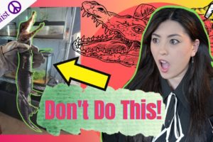 WHO Handles CROCODILES Like This!? 😵 Pet YouTuber Reacts to Animals on Craigslist | Emzotic