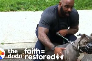 Watch This Guy Slowly Win Over His Rescue Dog Who Was Scared Of Men | The Dodo Faith = Restored