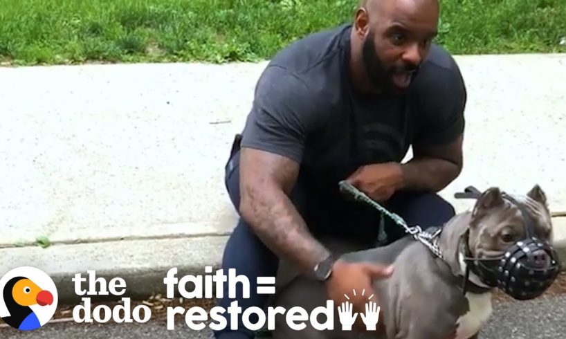 Watch This Guy Slowly Win Over His Rescue Dog Who Was Scared Of Men | The Dodo Faith = Restored