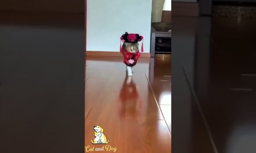 new viral video 2022 #shorts #viral #2022