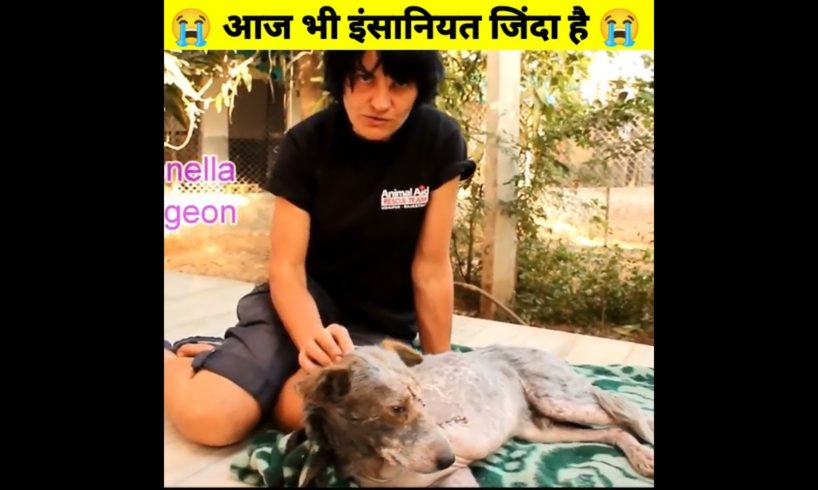 आज भी इंसानियत जिंदा है 😭😭🙏 |save dogs | Animal Rescue | Dog barking | puppy videos #shorts #doglove