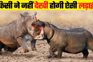 एक दूसरे की चीथड़े उड़ा दिए | Most Dangerous Wild Animal Fights