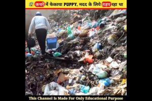 😰 कचरे में फेकाया puppy, मदद के लिये तड़प रहा था || Puppy was crying for help #dog #shorts