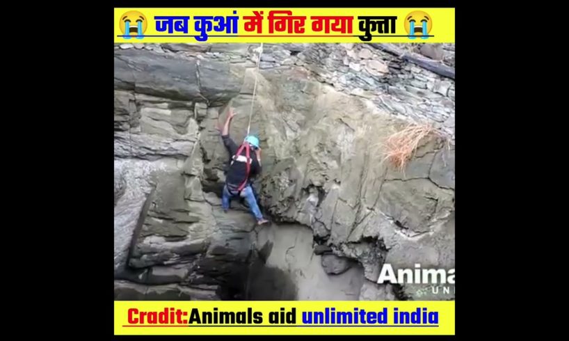 😭जब कुआं में गिर गया कुत्ता 😭animal rescue#humanity #shorts