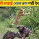 जानवरों की सबसे भयानक लड़ाई | 10 Most Dangerous Wild Animal Fights || Animals Fight