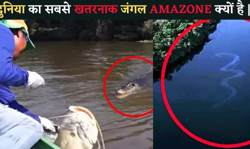 दुनिया का सबसे खतरनाक जंगल AMAZONE क्यो है || 5 Scariest Animal Encounters In The Amazone Jungle.