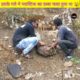 परेशान Doggy🥺@Animal Aid Unlimited, India