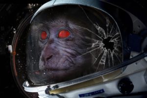 10 Most Amazing Animals That Were Sent Into Space!