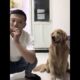 Funniest & Cutest Puppies - Funny Puppy Videos | Cute and Funny Dog Videos | Minutes of Funny Puppy