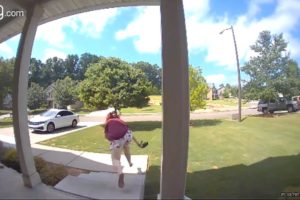 Funny Videos 2022 | Instant Regret | Fails Of The Week | Fail Compilation 2022 | Fails | RandomFails