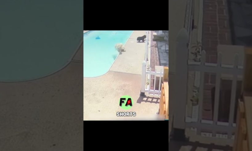 FailArmy - Fails of the Week | fail army funny, fails 2022, fails compilation, epic fails #shorts