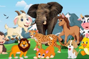 Cute moments of animals around us: horse, cow, cat, dog, elephant, chicken, deer, monkey, lion