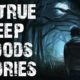 50 TRUE Disturbing Deep Woods & Middle Of Nowhere Stories | Scary Stories To Fall Asleep To