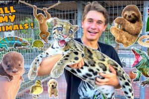 ALL MY EXOTIC ANIMALS IN ONE VIDEO ! FULL ZOO TOUR !