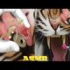 [ASMR] Animal 🐅Rescue|| Removing 🐛Worms From Helpless 🐯tiger eye care & 🦷Tooth Filling animation ||