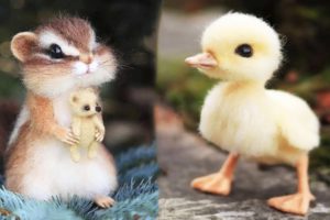 AWW SO CUTE! Cutest baby animals Videos Compilation Cute moment of the Animals - Cutest Animals #5