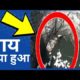 Animal Rescue Motivational videos | Amazing Facts | GK Hindi| #shorts #viral