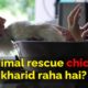 Animal rescue karne walo ne chicken kyun kharida? | Why a rescue had to buy chicken?