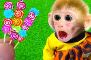 Animals Home Monkey baby Bi Bon eats marshmallow candy