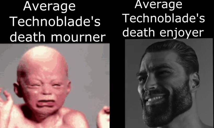 Average Technoblade's death mourner VS average Technoblade's death enjoyer