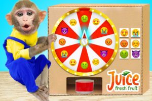 Baby monkey Kiki playing with Fruit Emotion Vending Machine | KUDO ANIMAL KIKI