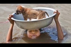 Best Inspiring Animal Rescues