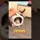 CAT VS DOG#SHORTS FIGHTS CAUGHT ONTAPE ANIMAL FIGHTS Cat attack Dog #shorts #trending #viral #funny