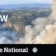 CBC News: The National | Extreme weather, Nurse shortage, Animal rescues