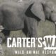 Carter's War animals Rescue in Hindi| Carter's War in hindi full episode