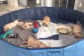 Cutest Puppies ever are waking up!