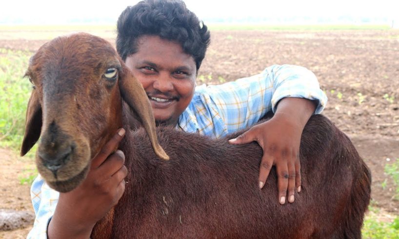 Delicious Mutton Dum Biryani | Shah Ghouse Mutton Biryani | Country Boys