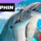 Dolphin 🐬 One Of The Cutest But Dangerous Animals In The World #shorts