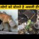 Experiment 346➡️ Top-3 Beautiful animals rescue) कुत्ते को बचाया❤#shorts #youtubeshorts