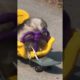 Funniest and Cutest Puppies, Funny Puppy Video 2022 Ep965