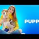 Funniest and Cutest Puppies|Beautiful Puppies||PUPPY VIRAL