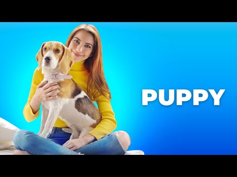 Funniest and Cutest Puppies|Beautiful Puppies||PUPPY VIRAL