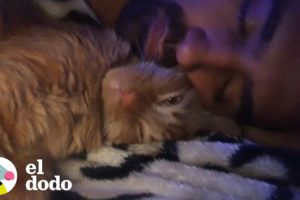 Gato y su papá tienen la misma rutina todas las noches antes de dormir I El Dodo