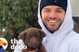 Guy Finds A Family Of Puppies Living Under A Couch | The Dodo