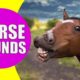 HORSE SOUNDS | Learn Animals with Kiddopedia #Shorts