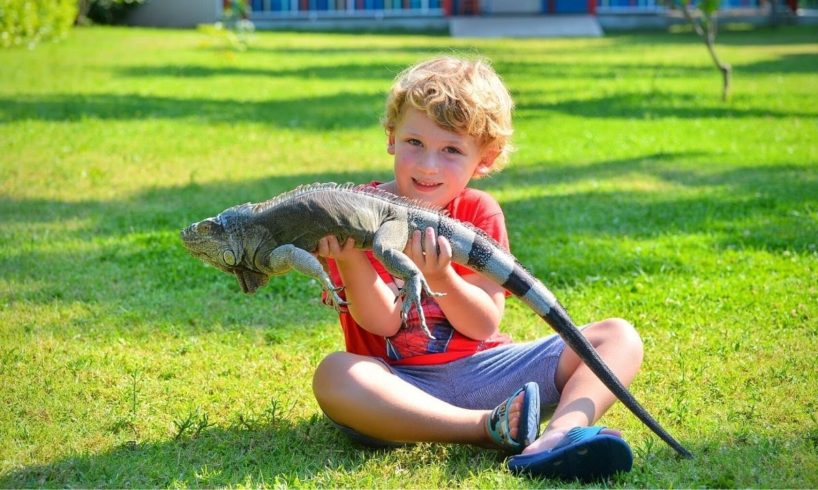 Haydar and Freya Met These Amazing Birds and Animals | Nature Play Activities for Kids