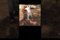 Hood fights pt3