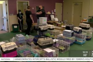 Hundreds of animals rescued by NHS